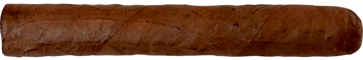 Bundle Selection by Cusano Petit Corona